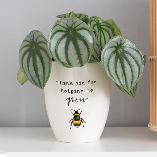Thank You For Helping Me Pot
